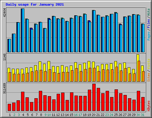 Daily usage for January 2021