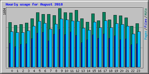 Hourly usage for August 2018