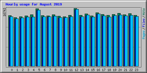 Hourly usage for August 2019