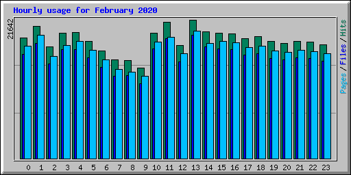 Hourly usage for February 2020