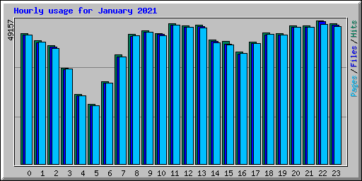 Hourly usage for January 2021